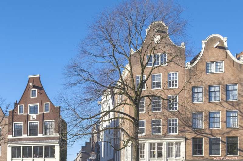 Amsterdam s Prinsengracht Canal Transforms into Skate Park Amid Rare Freeze