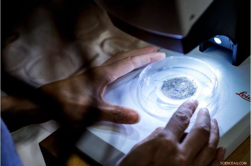 Advanced Temporal Monitoring Technique for Microplastic Sedimentation