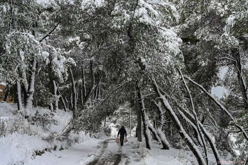 Heavy Snowfall Disrupts Greek Travel: Roads and Ports Halted