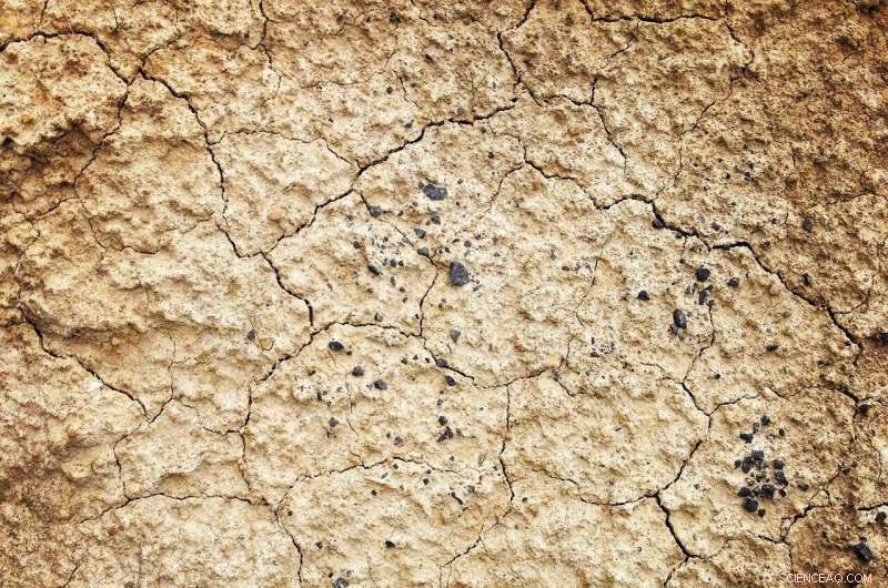 Corn Belt Farms Lose One-Third of Carbon-Rich Soil, New Study Finds