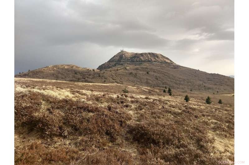 Rainborne Microbes Pose Risks to Human Health and Ecosystems