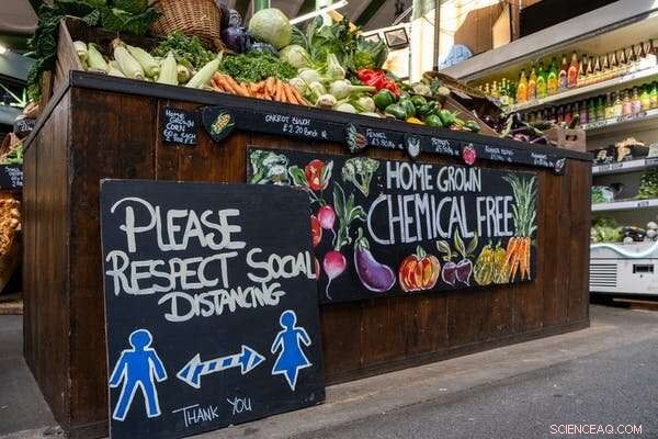 5 Proven Strategies to Cut Household Waste and Stop Shipping it Overseas