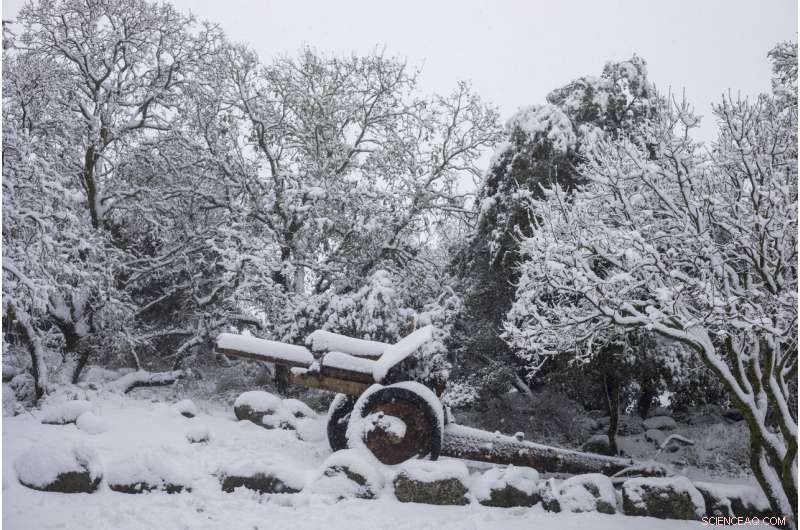 Heavy Snowfall and Gale-force Winds Strike Middle East in Powerful Winter Storm