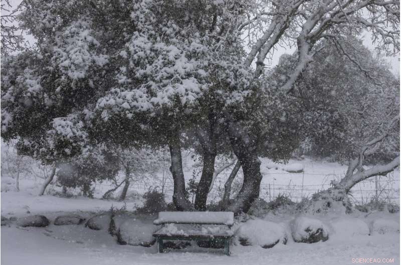 Heavy Snowfall and Gale-force Winds Strike Middle East in Powerful Winter Storm