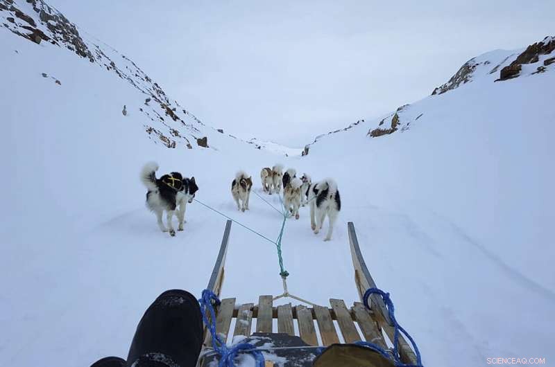 How the Polar Vortex Drives Unexpected Weather Patterns