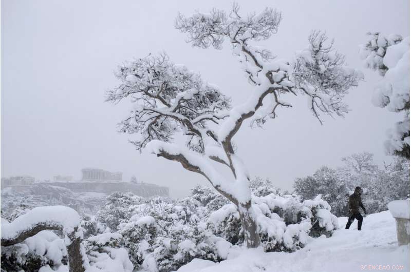 How the Polar Vortex Drives Unexpected Weather Patterns