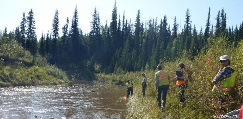 Keeping Rivers Healthy: How Communities Use DNA Technology to Monitor Freshwater Quality