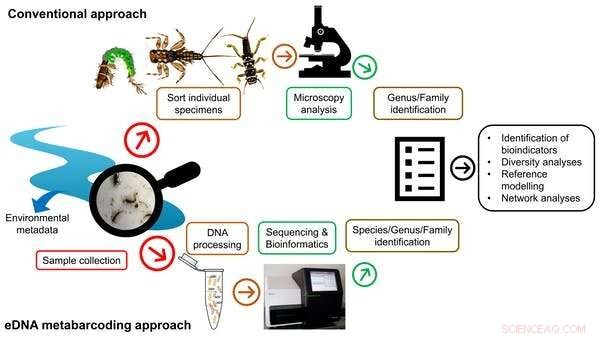 Keeping Rivers Healthy: How Communities Use DNA Technology to Monitor Freshwater Quality