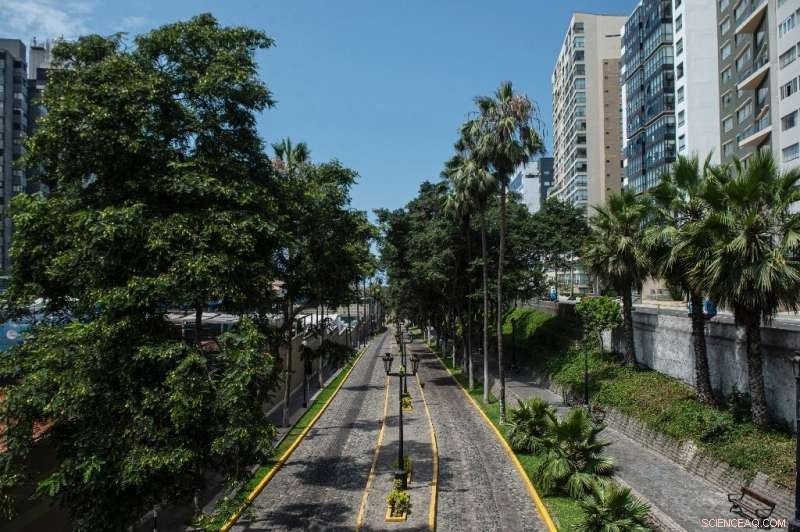 Greenpeace: 160,000 Premature Deaths in Global Megacities Due to Air Pollution Last Year