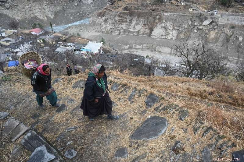 India s Glacier Collapse Sparks Deadly Flood, Exposing Himalayan Risks