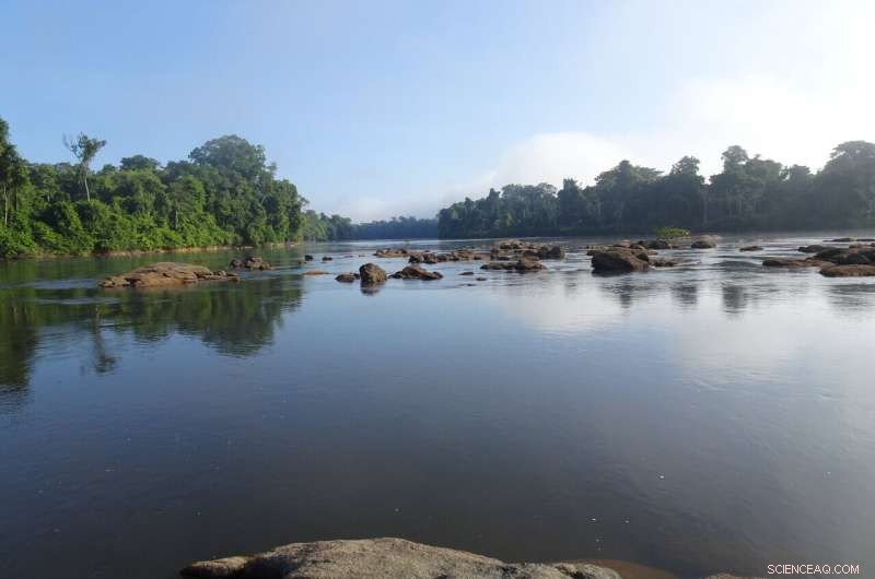 Global Study Reveals 50% of Rivers Severely Affected by Human Activity