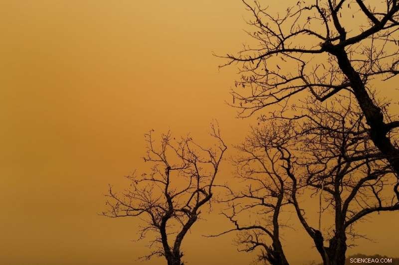 Saharan Dust Forecast: Europe Faces Another Weekend Outbreak