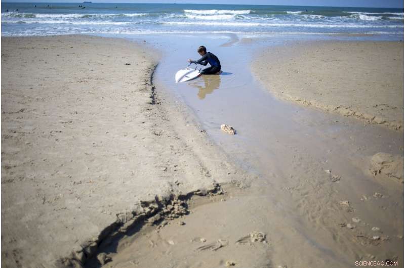 Israel Severs Mediterranean Access Following Oil Spill Devastates Coastal Ecosystem