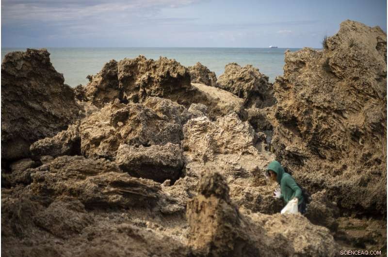 Israel Severs Mediterranean Access Following Oil Spill Devastates Coastal Ecosystem