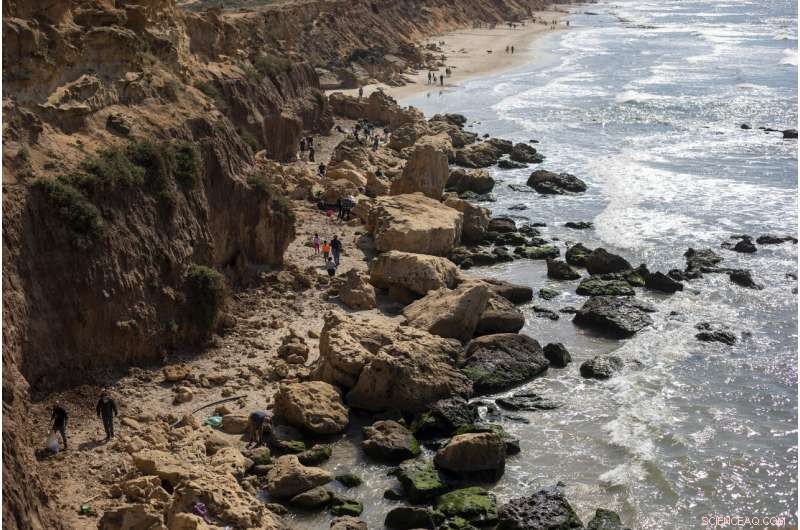 Israel Severs Mediterranean Access Following Oil Spill Devastates Coastal Ecosystem