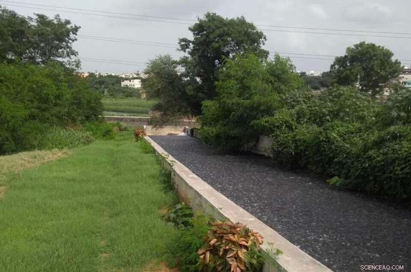 Nature Processes 41.7 Million Tons of Human Waste Annually: Global City Study Reveals