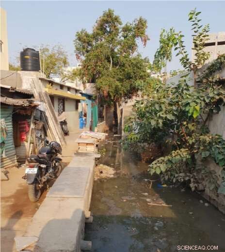 Nature Processes 41.7 Million Tons of Human Waste Annually: Global City Study Reveals