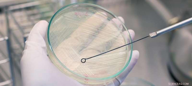 University of Oklahoma Study Reveals Climate Warming s Impact on Microbial Networks