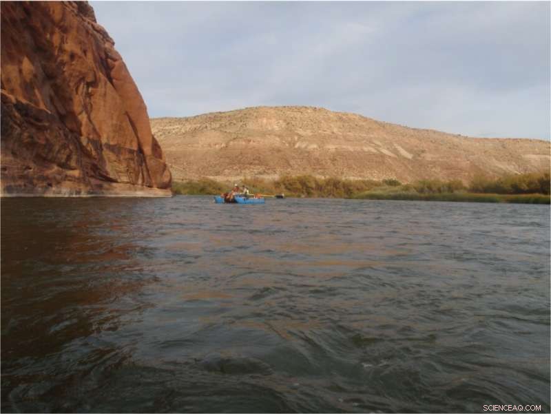 Timing Is Key: Managing Selenium Pollution in River Systems