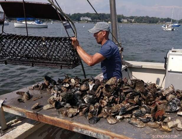 Assessing the Economic and Environmental Value of Clam Aquaculture to Coastal Communities