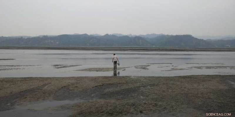 Warming and Increased Precipitation Boost Carbon Release from Land Ecosystems