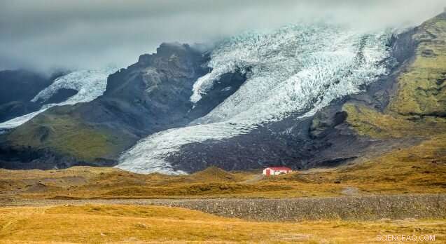 Iceland’s Retreating Glaciers Reveal New Plant Life