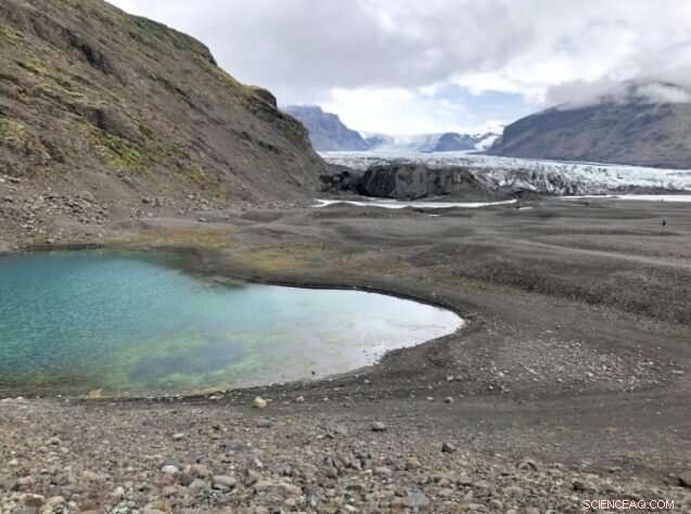 Iceland’s Retreating Glaciers Reveal New Plant Life