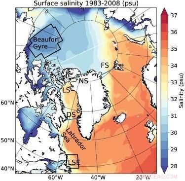 Record Arctic Freshwater Flux to Labrador Sea: Impact on Regional and Global Oceans
