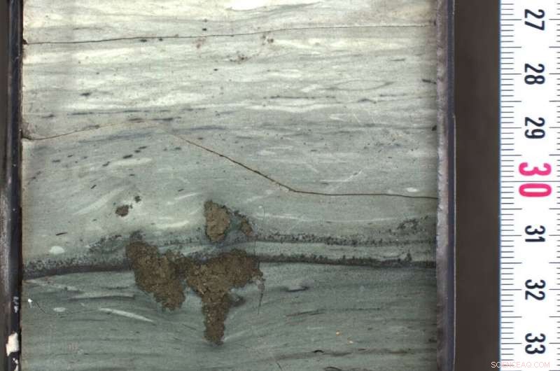 Crater Dust Discovery Confirms Asteroid Impact as Dinosaur Extinction Cause