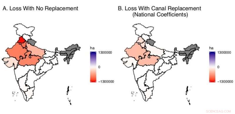 India’s Wheat and Rice Production Threatened as Groundwater Depletion Cuts Winter Crop Areas