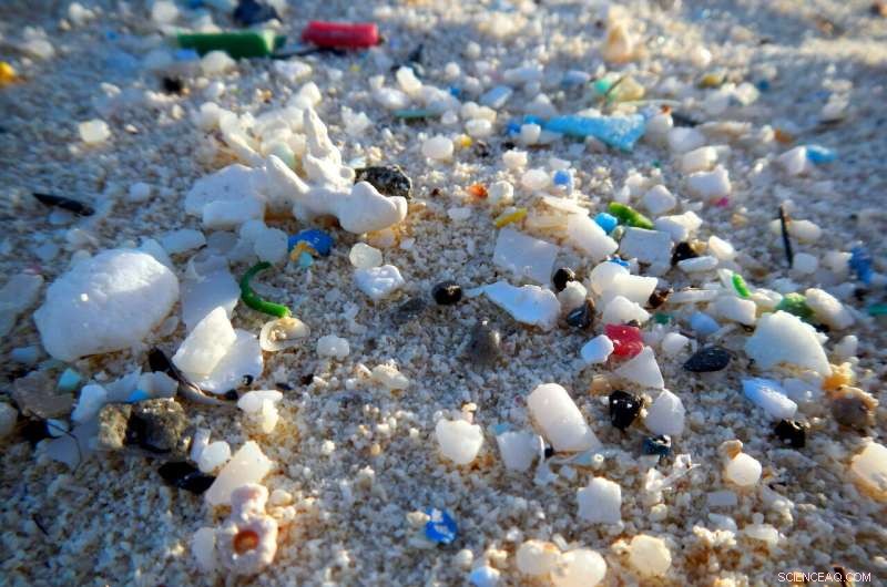 First Comprehensive Study Reveals Microplastic Sizes in Hudson–Raritan Estuary and Coastal Ocean