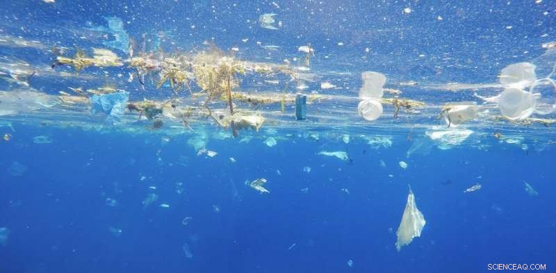 Are All Your Plastic Recycled? New Study Reveals Ocean Contamination Risks