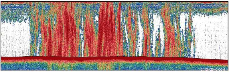 Elevated Methane Levels in East Siberian Arctic Ocean Point to Laptev Sea Reservoir
