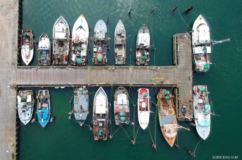 Small-Scale Fisheries: Proven Strategies for Climate Resilience