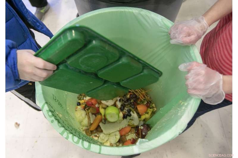 UN Report Finds 17% of Global Food Production Is Wasted: What This Means for Sustainability