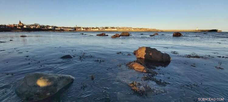 Comprehensive Mapping of UK Offshore Carbon Stores Enhances Marine Climate Change Research