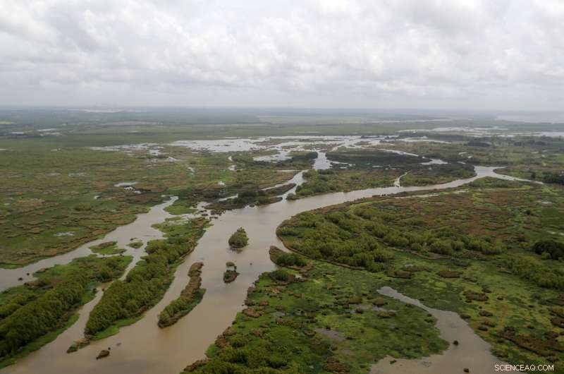 Study Confirms Significant Progress in Louisiana s Coastal Restoration Plan