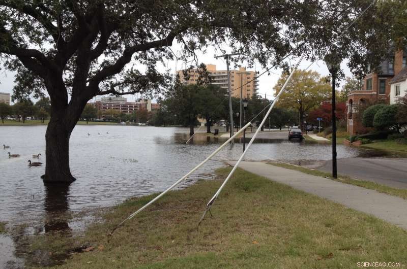 Study Reveals Coastal Changes Amplify Nuisance Flooding Across US Shorelines