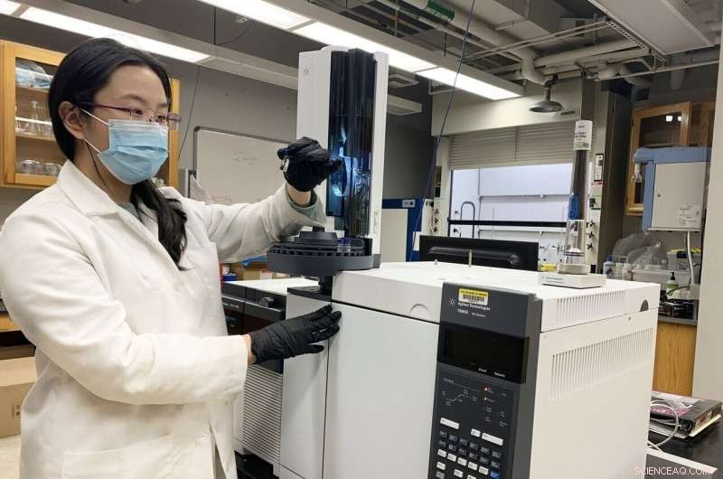 How Earth s Spin and Orbit Triggered Ancient Marine Life Extinction