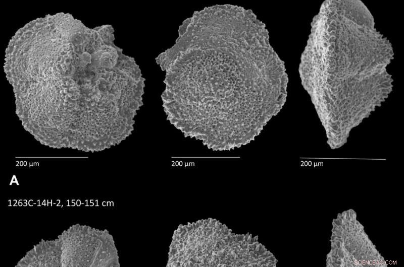Oceans Faced Stress Before Sudden Prehistoric Global Warming