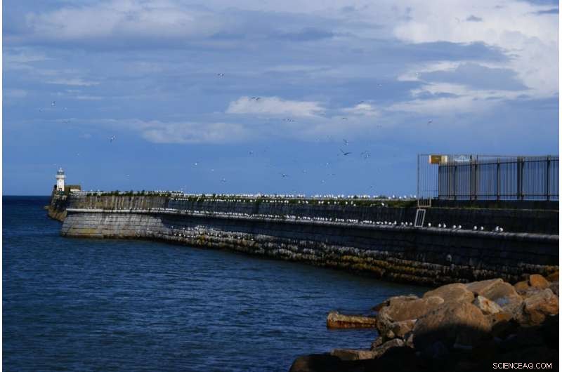 Underwater Seismometers Confirmed on the Sea Floor—Insights into Tsunami-Generating Earthquakes