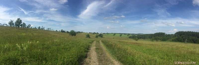 How Sustainable Agriculture and Nature Conservation Can Thrive Together