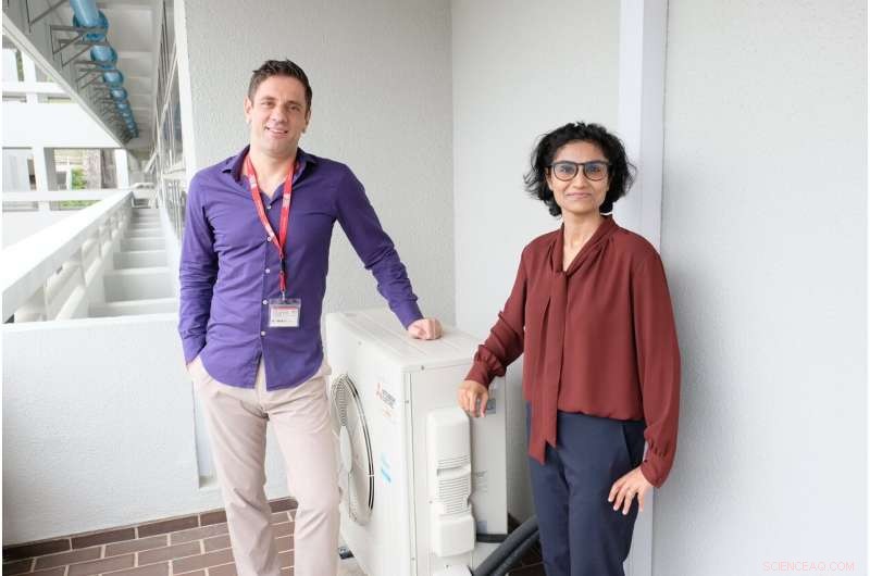 New Study Reveals How Empathy Drives Environmental Care