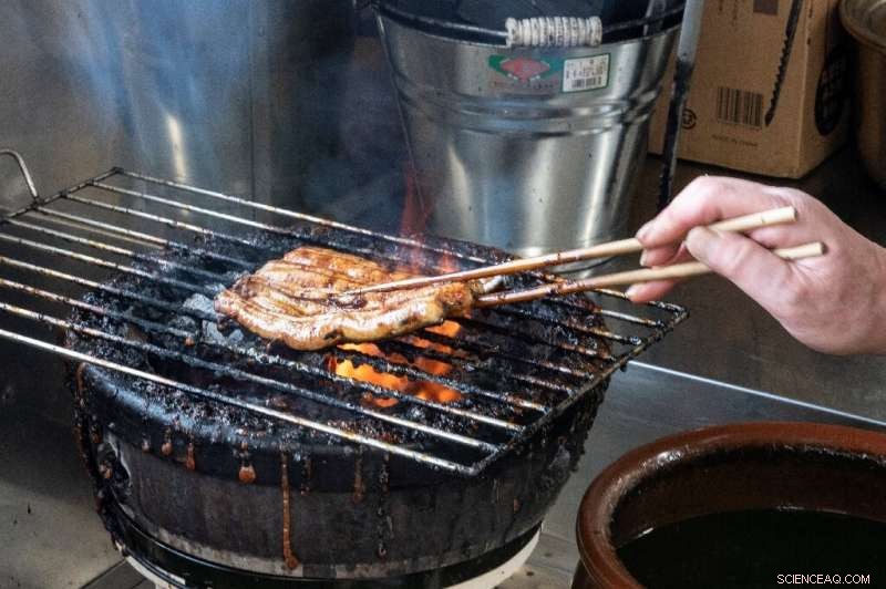 A Decade After Fukushima: Japan’s Towns Strive to Reclaim Community Life