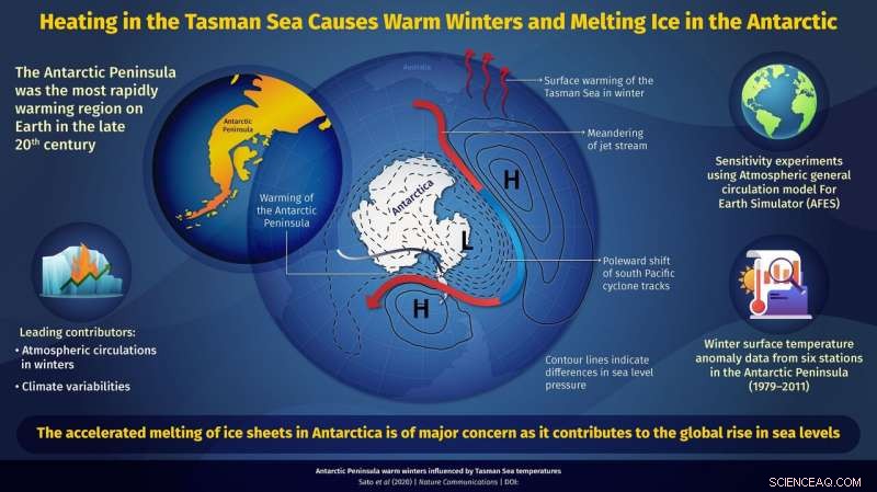 Tasman Sea Heat Drives Rapid Warming of the Antarctic Peninsula