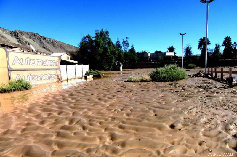 How Breaking Waves and Moisture Transport Trigger Extreme Precipitation Events