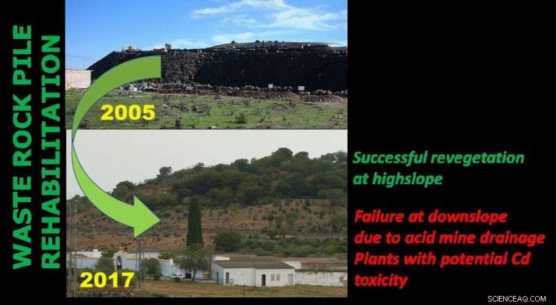 Assessing the Success of Rehabilitating an Old Mine Waste Rock Pile