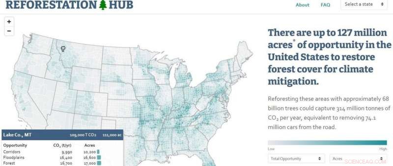 Where to Plant Trees: A Comprehensive Guide to Optimal Reforestation Sites