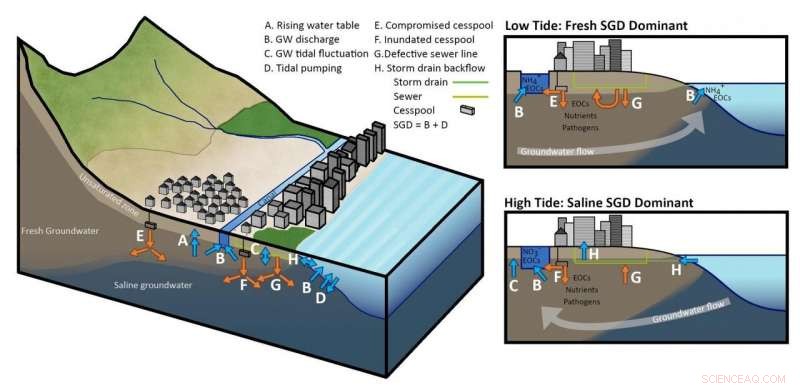 Sea-Level Rise Amplifies Wastewater Leakage into Coastal Waters
