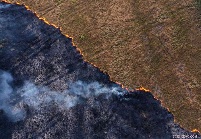 Imperial College Study Shows Fire Suppressant Cuts Peat Fire Extinguishing Time by 40% When Combined with Water